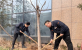 【能源使命】济南tapplay控股集团： 弘扬志愿服务，齐建绿色城市   